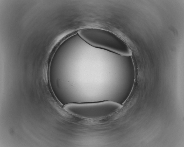 X0000110681272200906121027