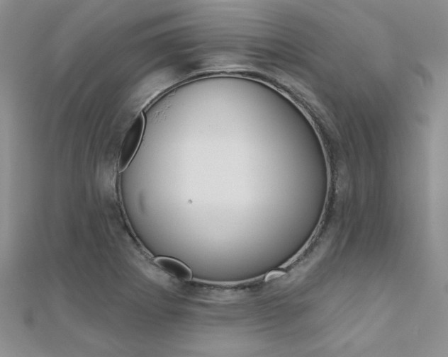 X0000110681273200906121027