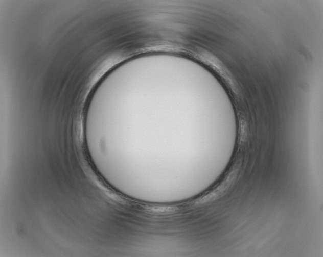 X0000110681274200906121027