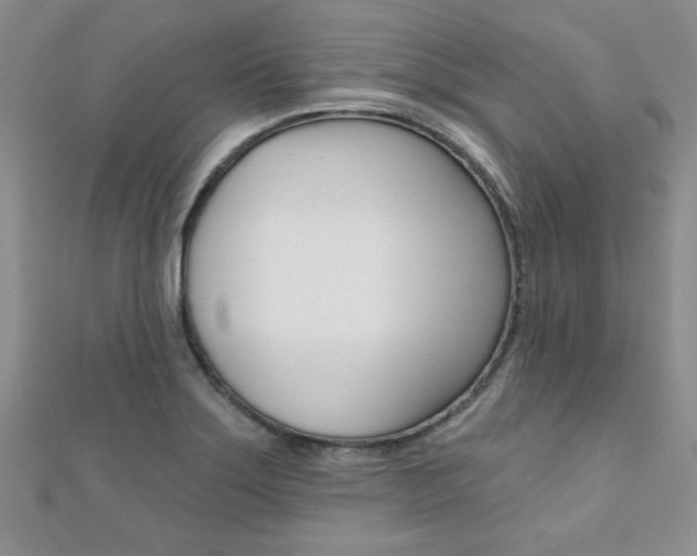 X0000110681275200906121027