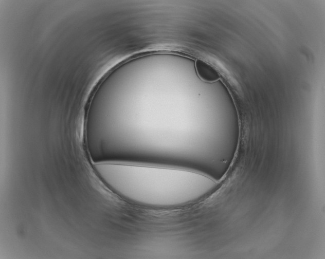 X0000110681276200906121027