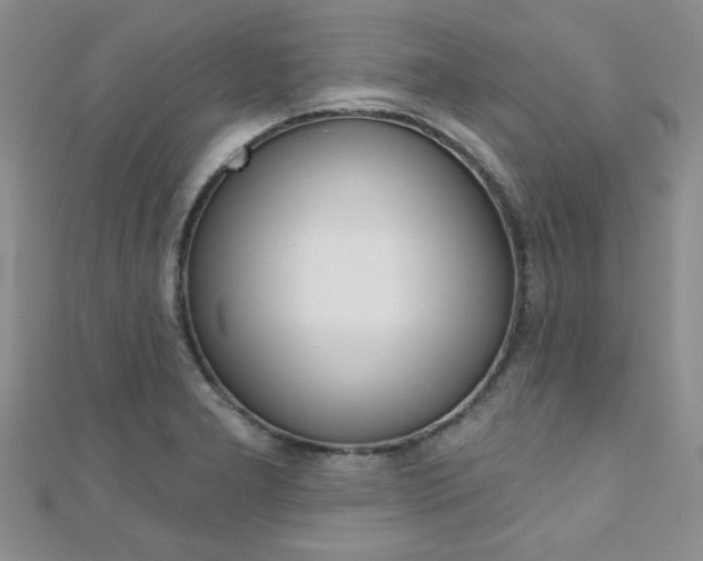 X0000110681277200906121027