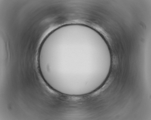 X0000110681278200906121027