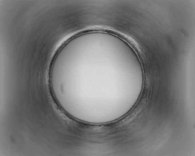 X0000110681279200906121027