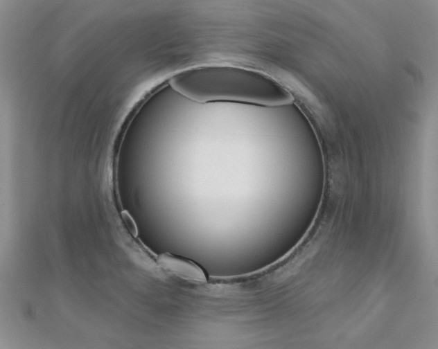 X0000110681280200906121027