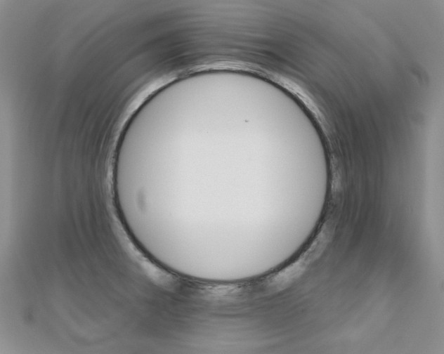 X0000110681282200906121027