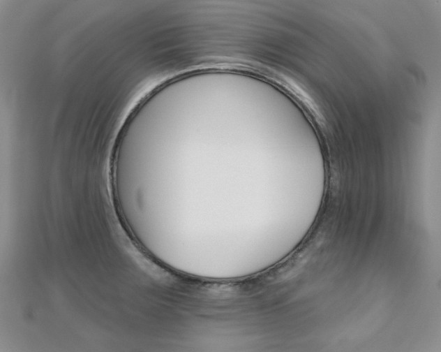 X0000110681283200906121027