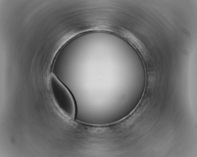 X0000110681284200906121027
