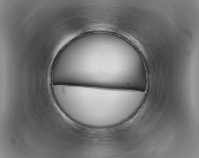 X0000110681285200906121027