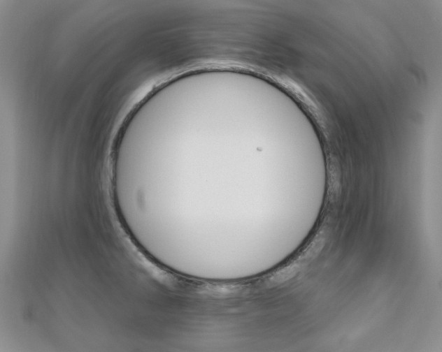 X0000110681286200906121027