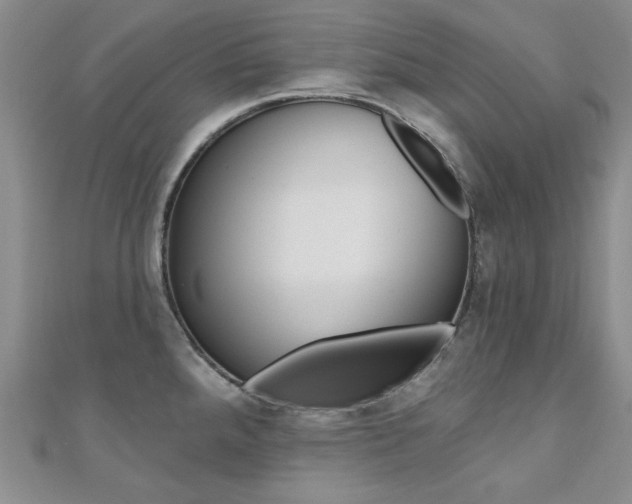 X0000110681288200906121027