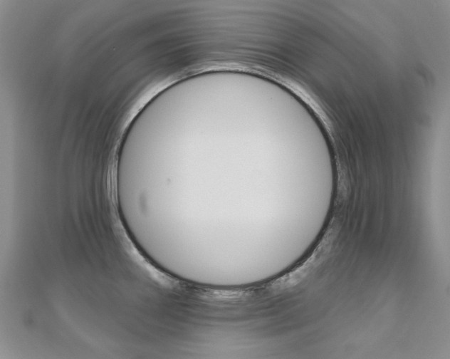 X0000110681290200906121027