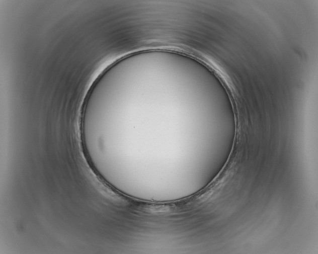 X0000110681291200906121027