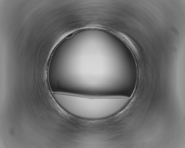 X0000110681292200906121027