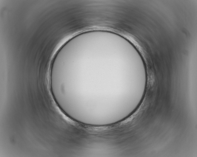 X0000110681294200906121027