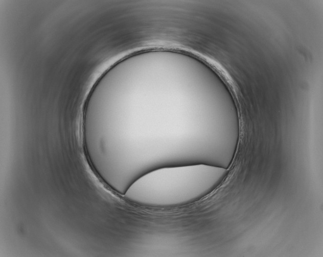 X0000110681295200906121027