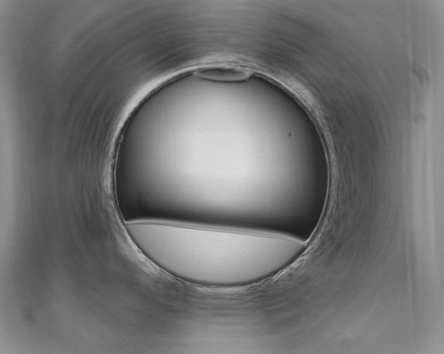 X0000110681296200906121027