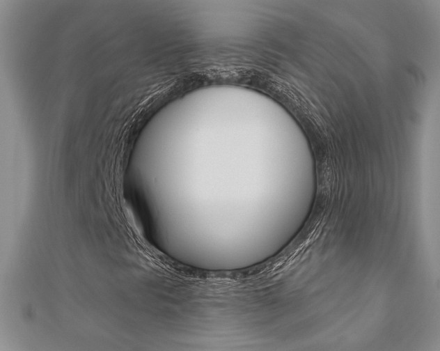 X0000110681297200906121026