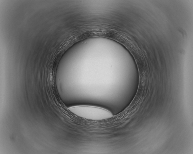 X0000110681298200906121026