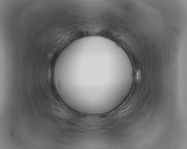 X0000110681299200906121026
