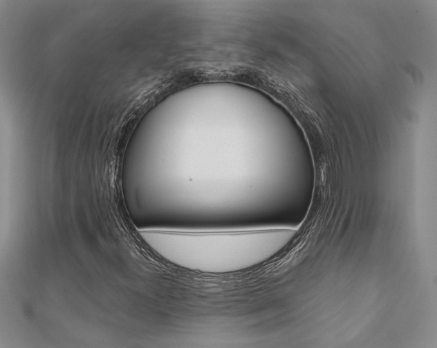 X0000110681300200906121026