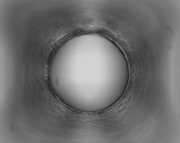 X0000110681301200906121026