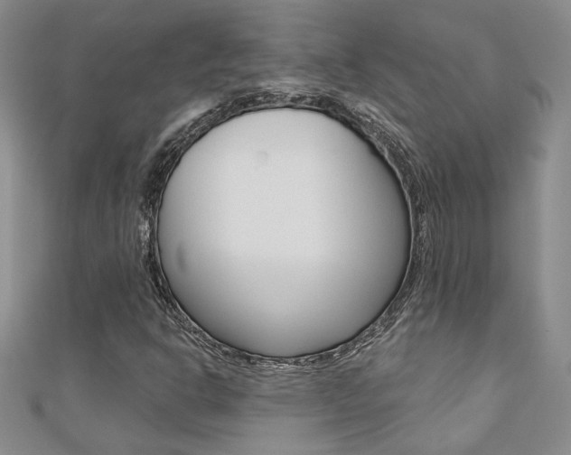X0000110681302200906121026