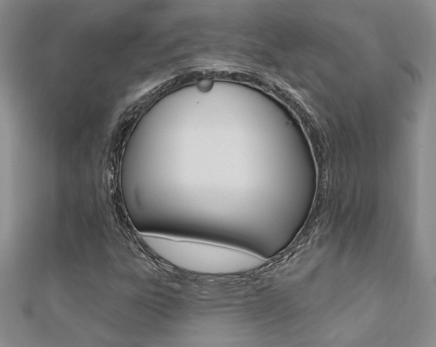 X0000110681303200906121026