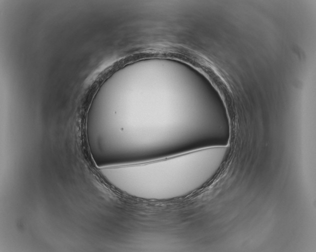 X0000110681304200906121026