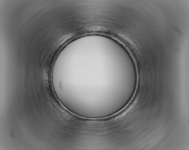 X0000110681305200906121026