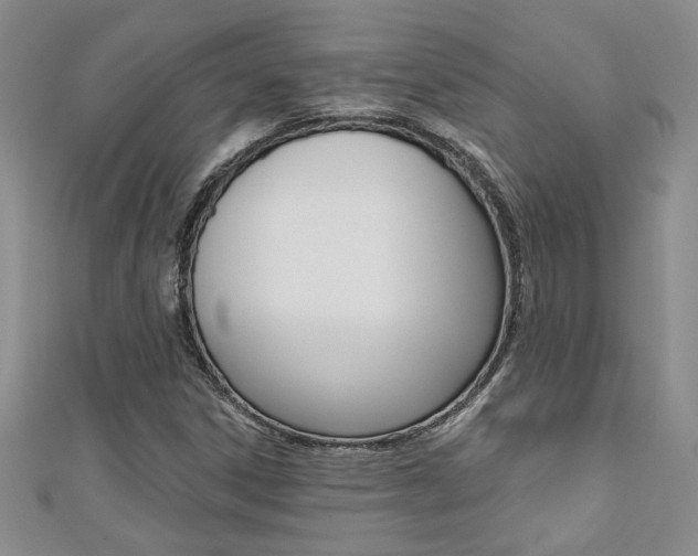 X0000110681306200906121026