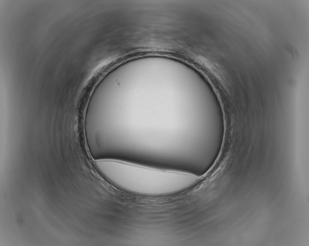 X0000110681307200906121026