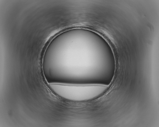 X0000110681308200906121026