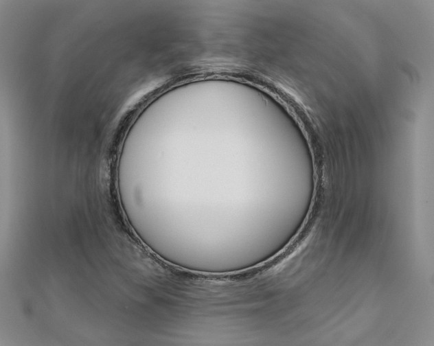 X0000110681309200906121026