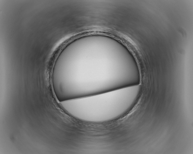 X0000110681310200906121027