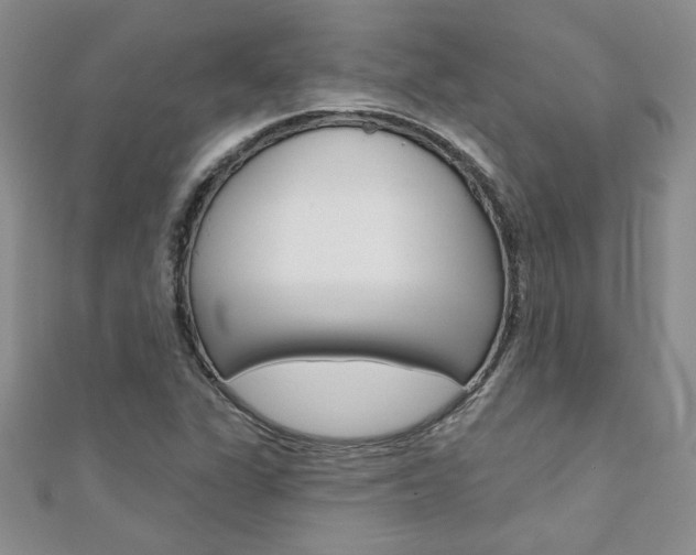 X0000110681311200906121027
