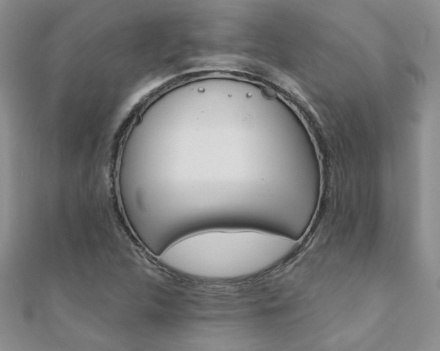 X0000110681312200906121027