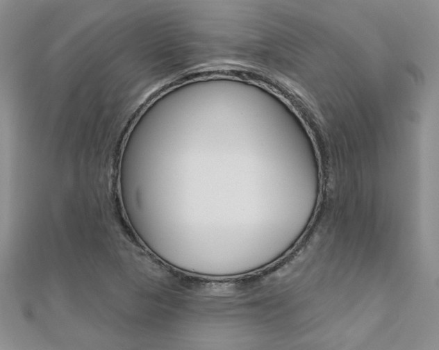 X0000110681313200906121027