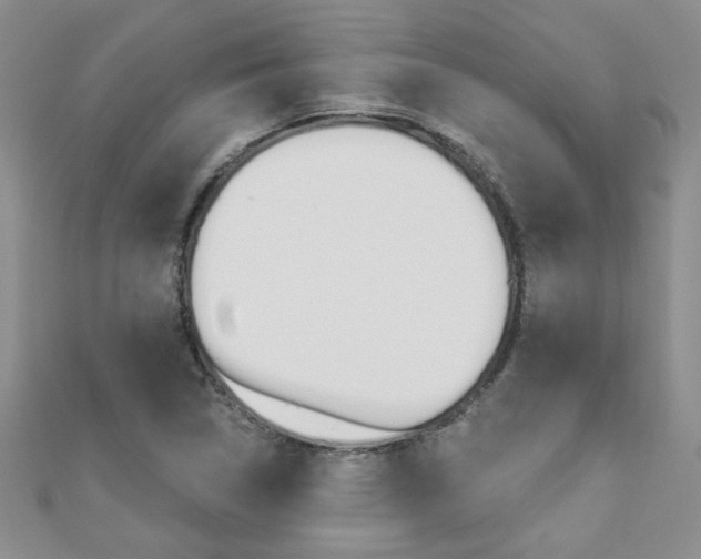 X0000110681314200906121027