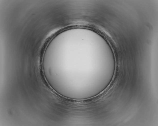 X0000110681315200906121027
