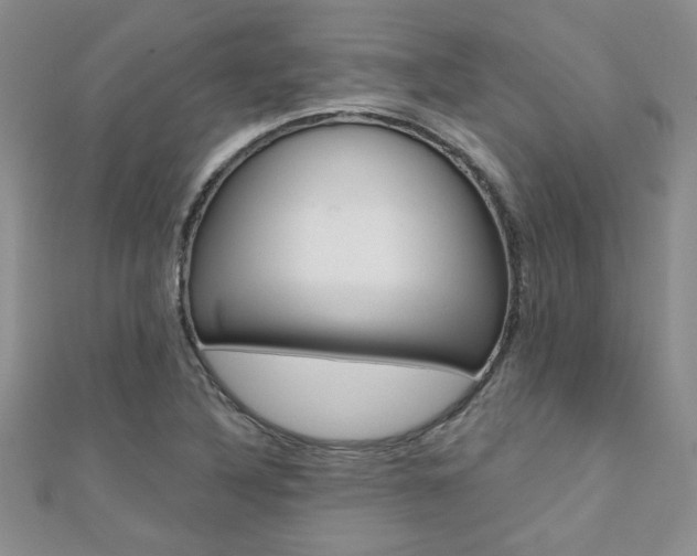 X0000110681316200906121027
