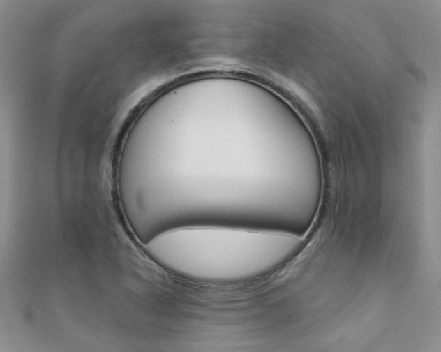 X0000110681318200906121027