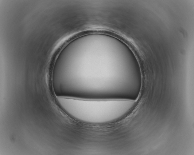 X0000110681319200906121027