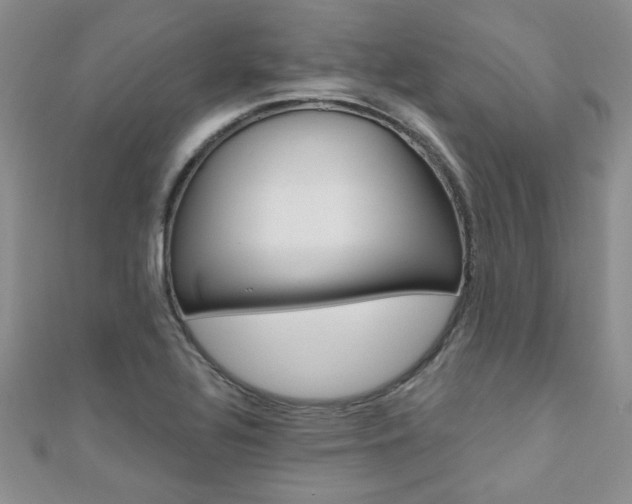 X0000110681320200906121027