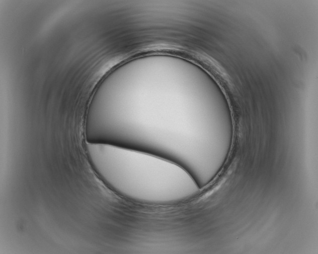 X0000110681321200906121027