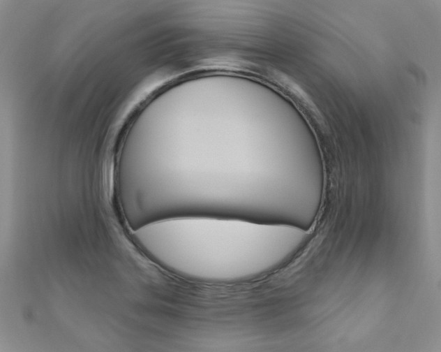 X0000110681323200906121027
