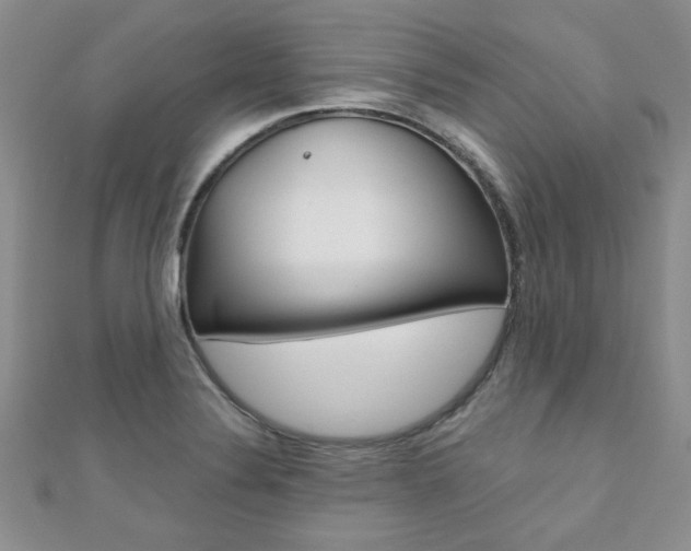 X0000110681324200906121027