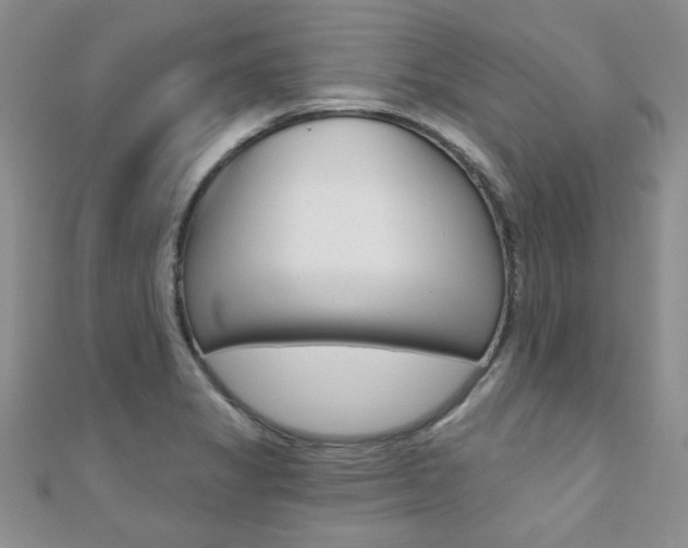 X0000110681325200906121027
