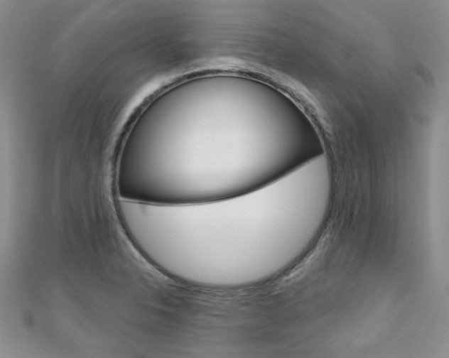 X0000110681326200906121027