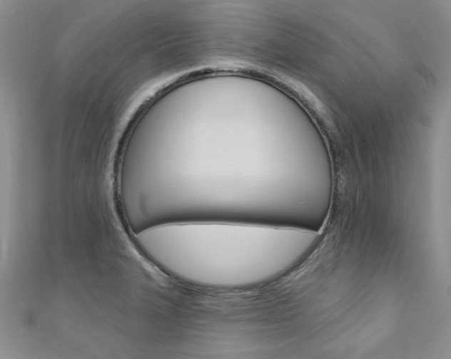 X0000110681327200906121027